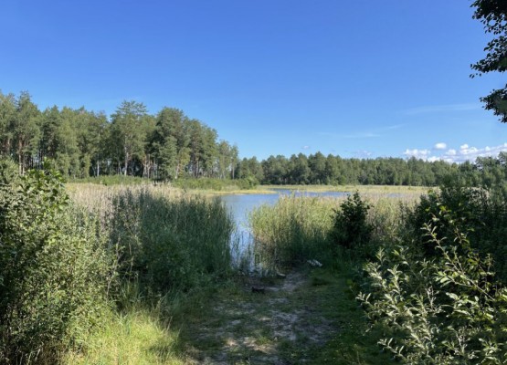 Rododendru iela 9 , Kadaga, Ādažu novads