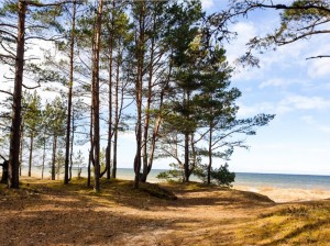 Melnkalni, Mērsraga pagasts, Talsu novads