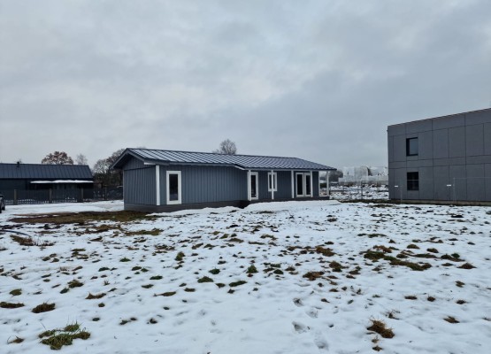 Ziemassvētku Izsole privātmājai Mārupes centrā